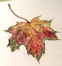 Botanical Watercolour Leaf