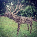 Willow Reindeer